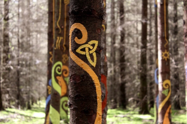 Celtic designs on trees painted with Auro natural paint