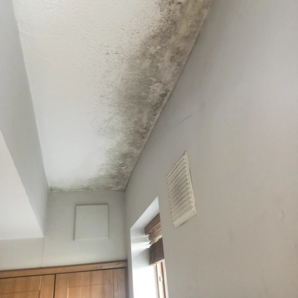 Mould on the ceiling of an apartment
