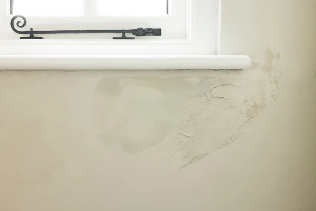 How to permanently fix penetrating damp in an old house (not hide it)