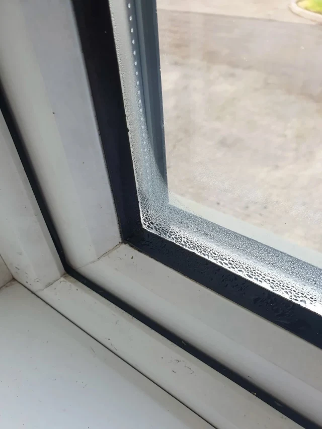 Victorian Cottage Blog Part 2: How do I get rid of mould in my house?