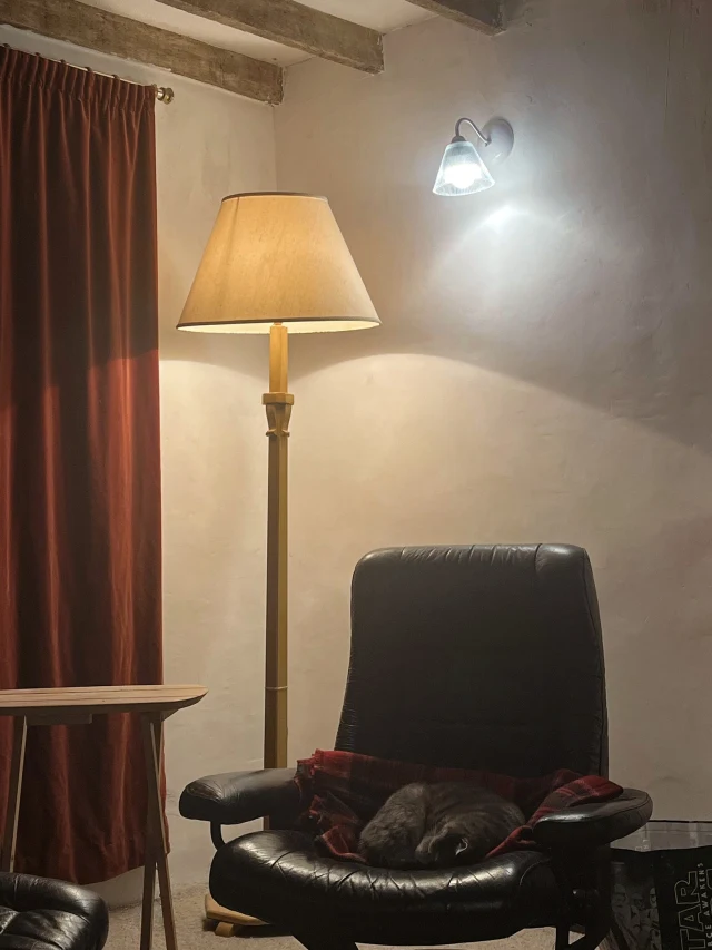 Victorian Cottage Blog Part 1: Do I need to add a damp proof course to the walls of my house?