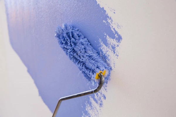 Blue colour Auro natural paint being rolled onto a wall.