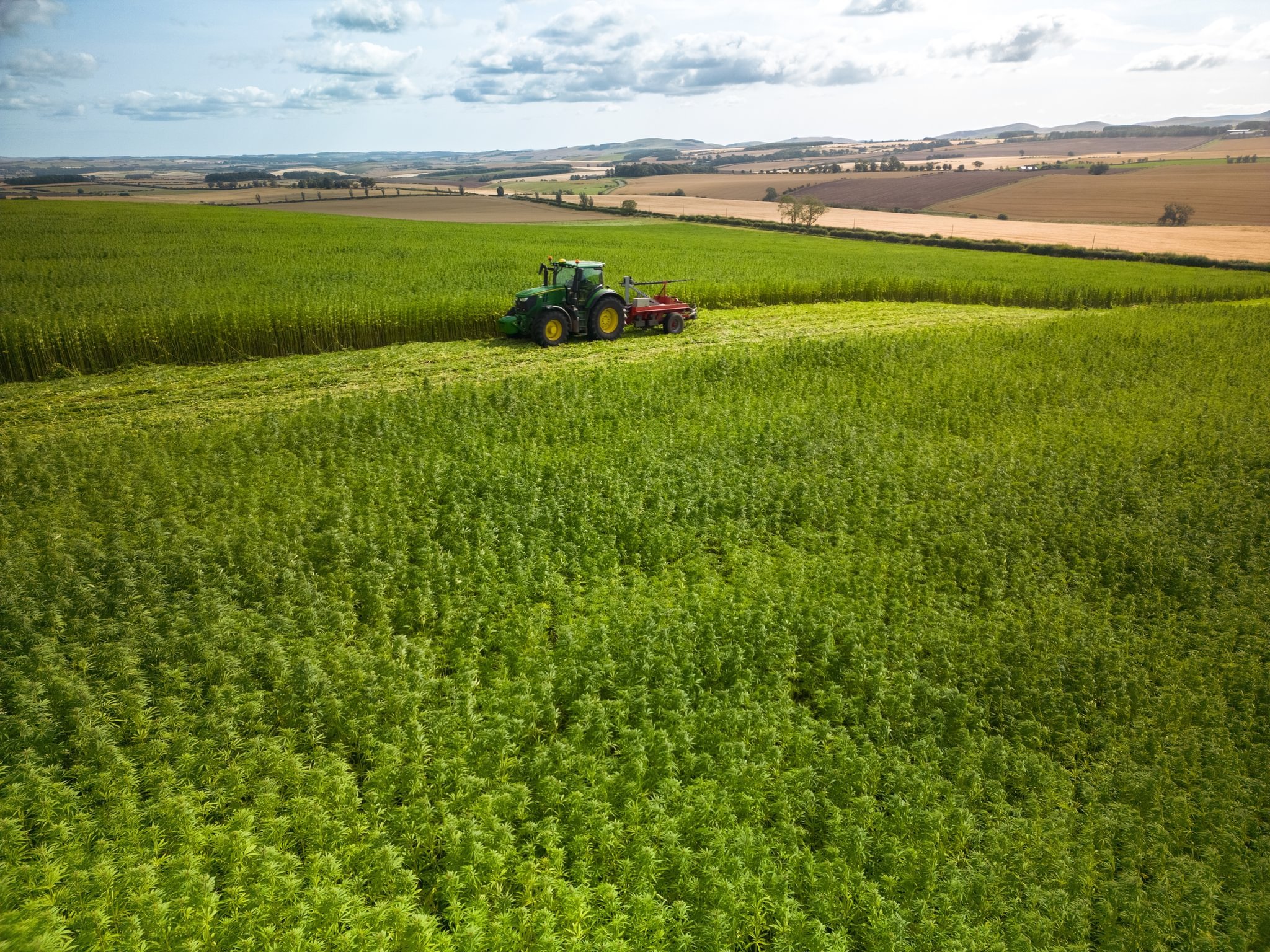 Industrial hemp myth busting: 6 common misconceptions about natural fibre insulation