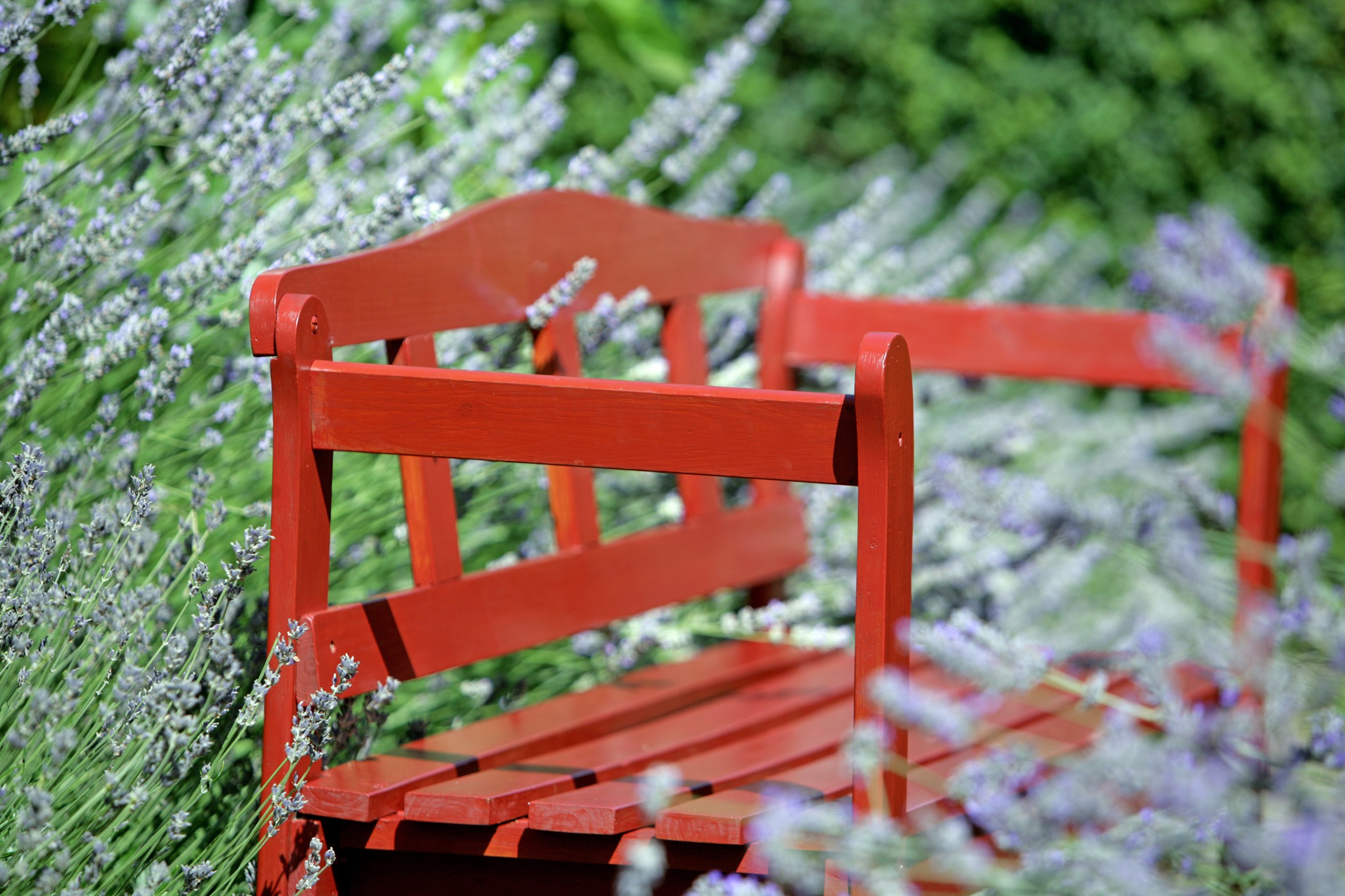 An image of a product