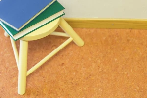 An image of a product
