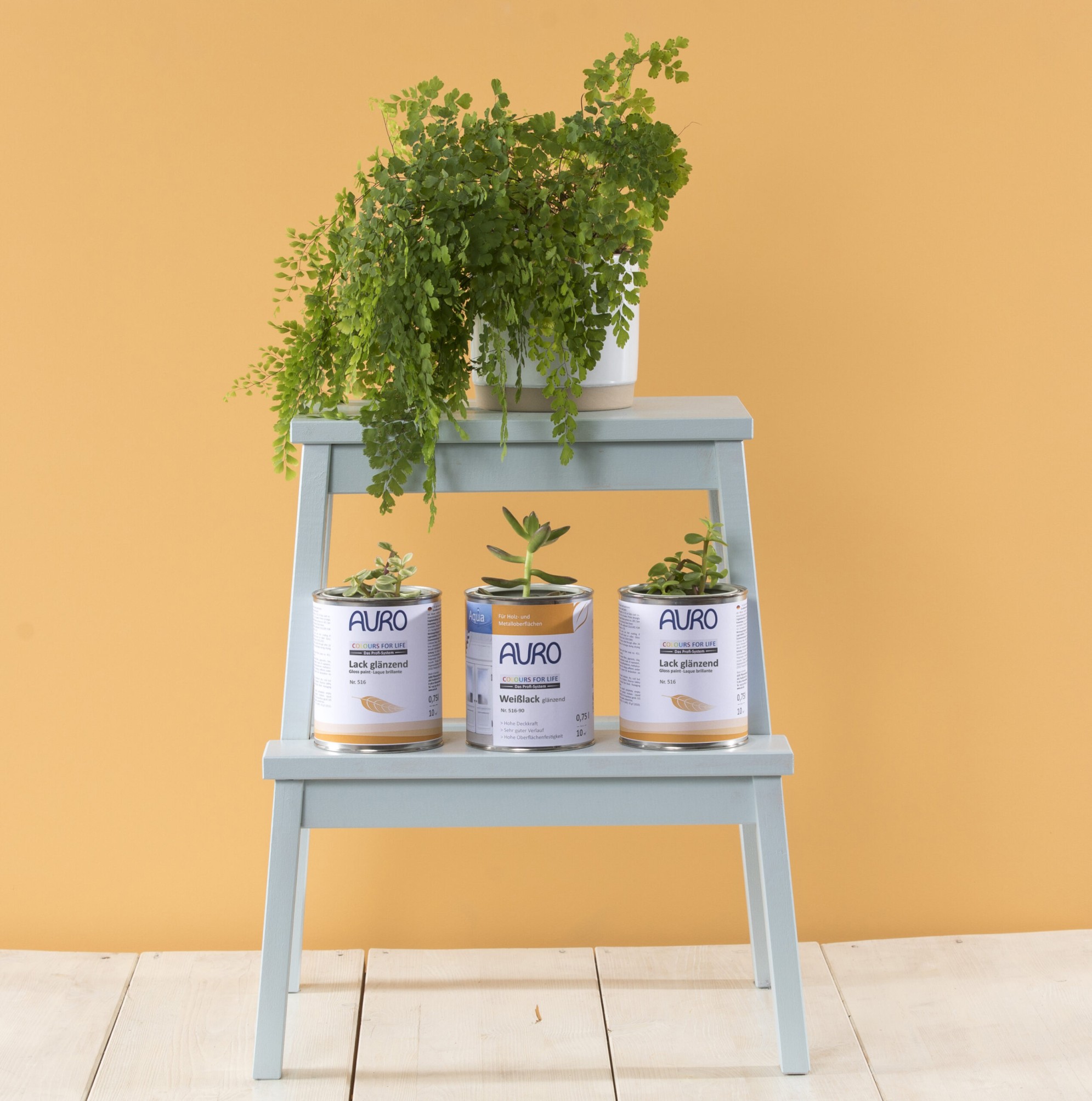 An image of a product