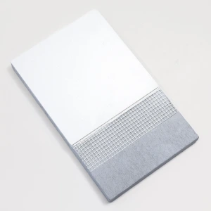 Clima Redboard Pro sample with finishing plaster and embedded mesh