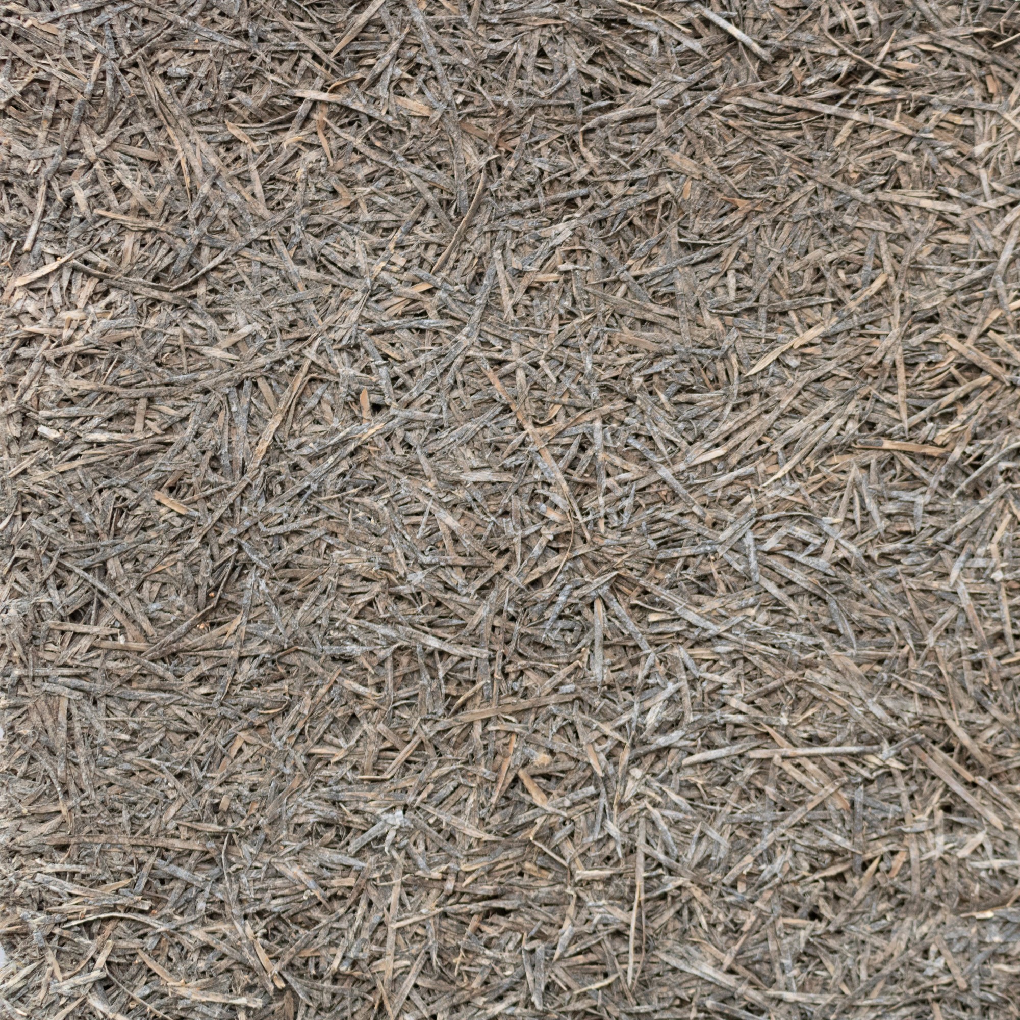 Celenit NC Wood Wool Board