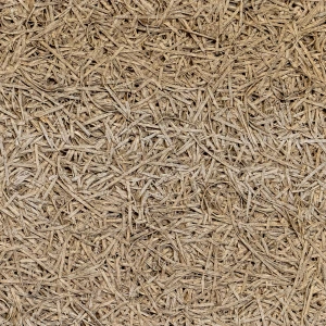 An image of a product