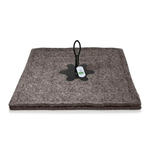 An image of a product