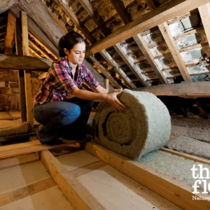 How To Insulate Your Attic Using Natural Insulation